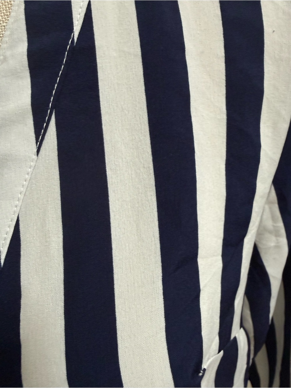 Striped V-Neck Button-Front Blouse - Navy/White - Picture 5 of 6